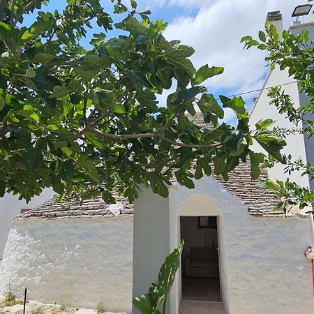 River Trulli Oasi Di Pace In Sito Unesco Alberobello Eksteriør billede