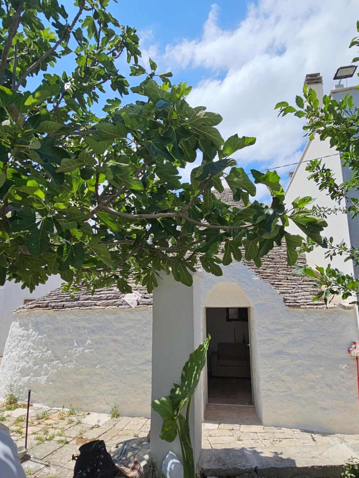 River Trulli Oasi Di Pace In Sito Unesco Alberobello Eksteriør billede