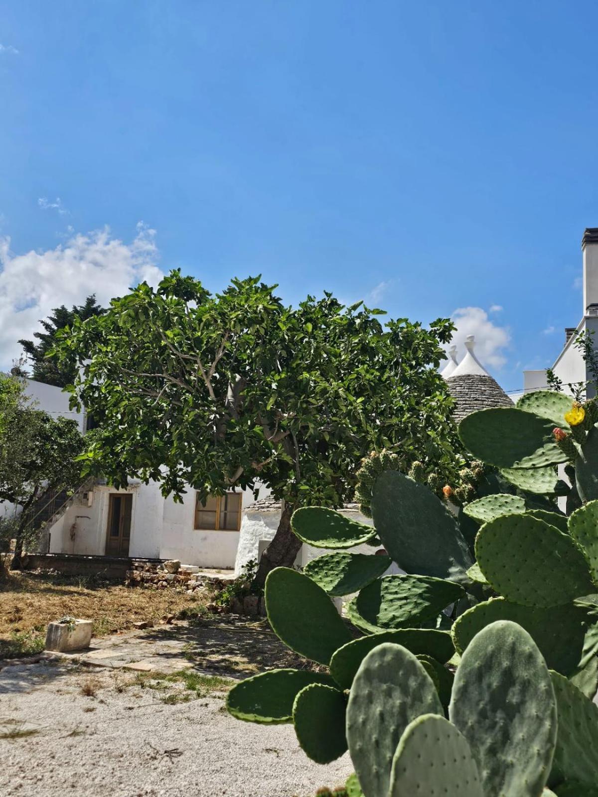 River Trulli Oasi Di Pace In Sito Unesco Alberobello Eksteriør billede