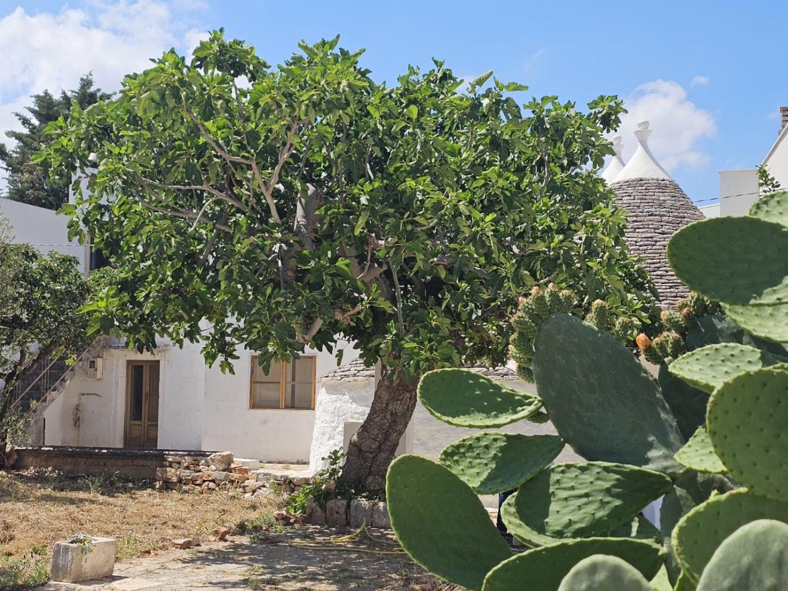 River Trulli Oasi Di Pace In Sito Unesco Alberobello Eksteriør billede