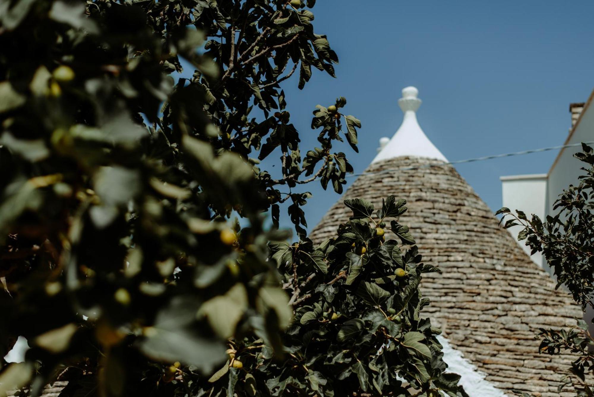 River Trulli Oasi Di Pace In Sito Unesco Alberobello Eksteriør billede